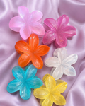 Acrylic Hair Claw Clips